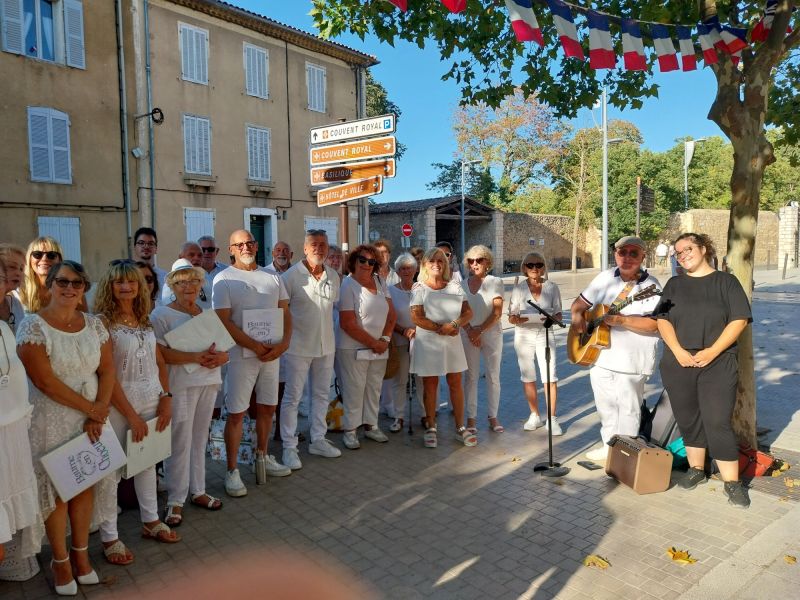 img 20260819