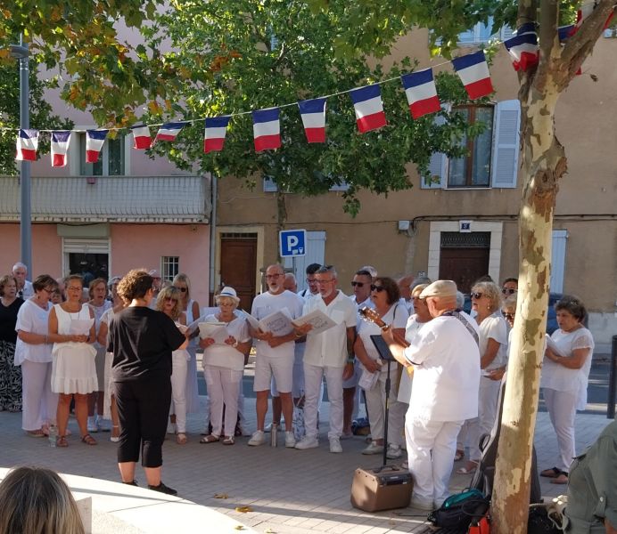 img 20260819